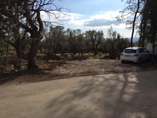 Le Clos des Oliviers – chantier, arbres abattus à l’entrée