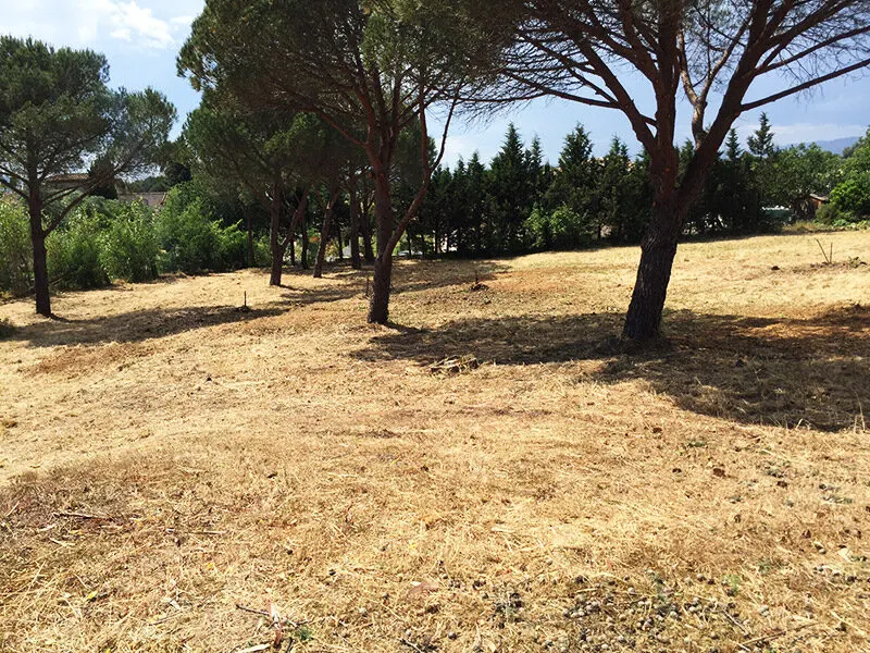 Parcs d’Elena – chantier, photo 3