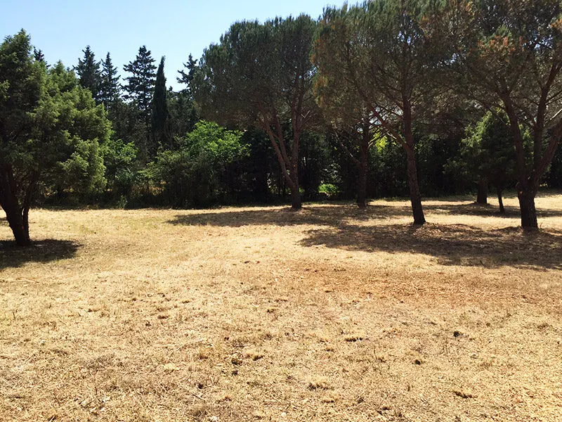 Parcs d’Elena – chantier, photo 4